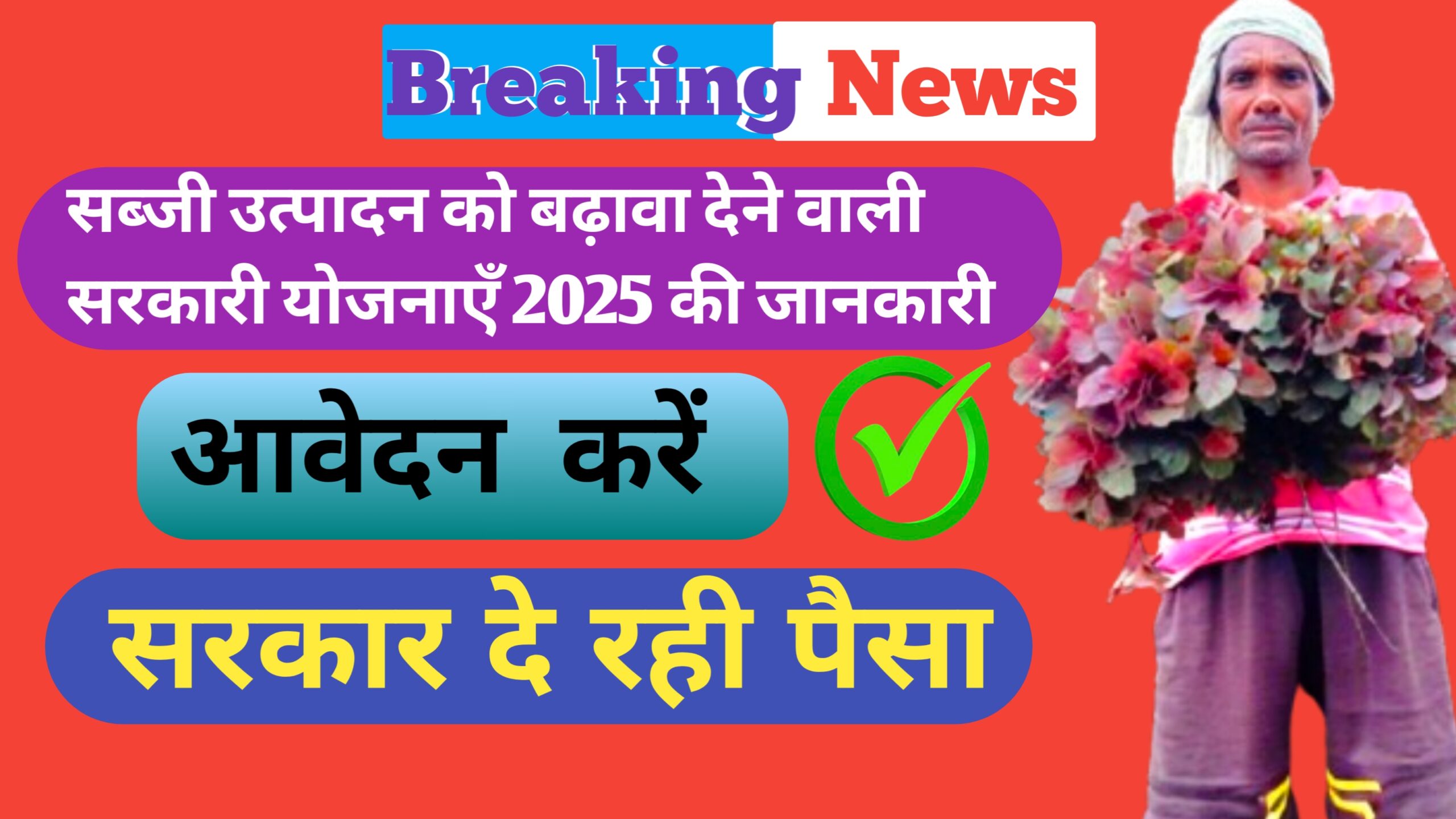 सब्जी उत्पादन सरकारी योजना 2025